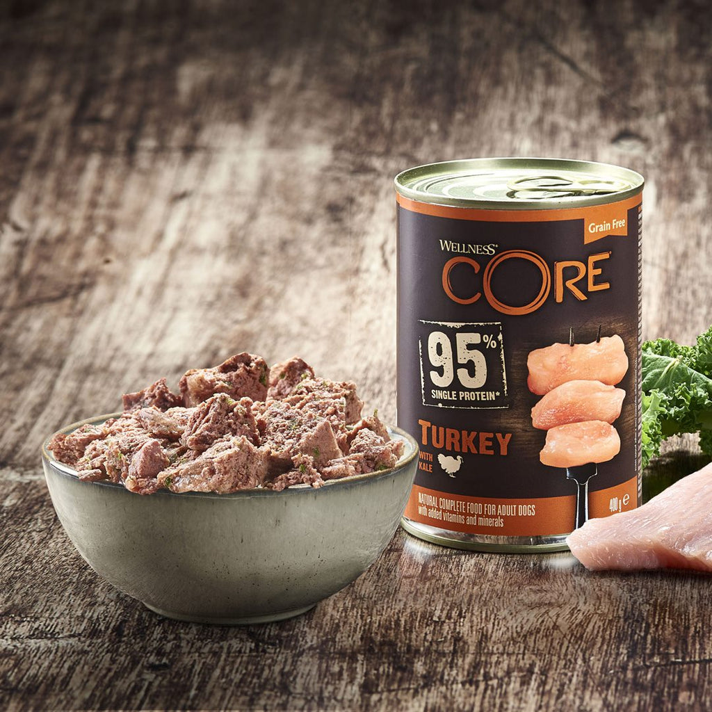 Wellness core outlet 95 dog food